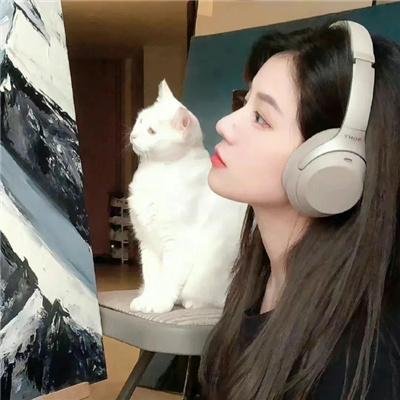 雪豹之暗战天机